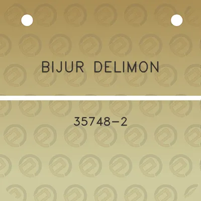 bijur-delimon-35748-2