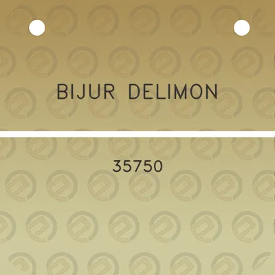 bijur-delimon-35750