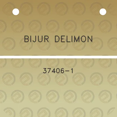 bijur-delimon-37406-1