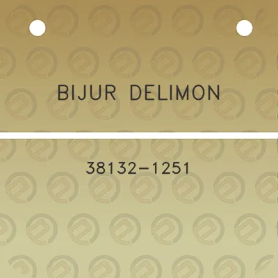 bijur-delimon-38132-1251