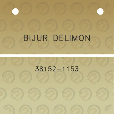 bijur-delimon-38152-1153