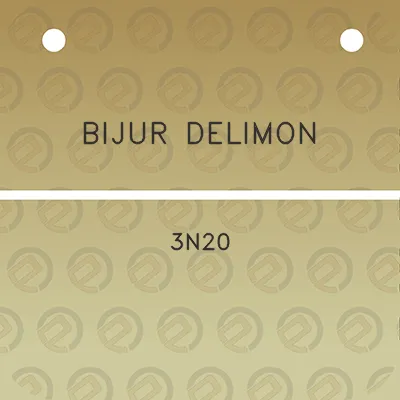 bijur-delimon-3n20