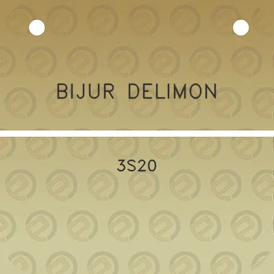 bijur-delimon-3s20