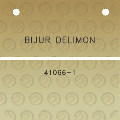 bijur-delimon-41066-1