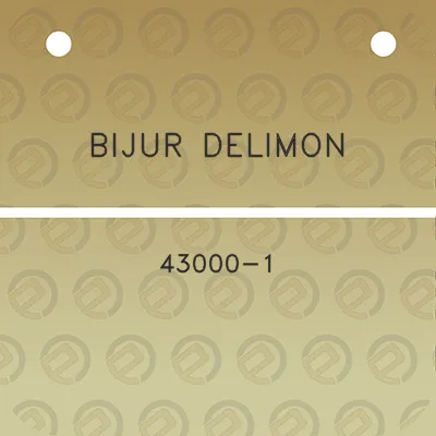 bijur-delimon-43000-1