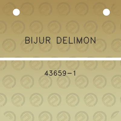 bijur-delimon-43659-1