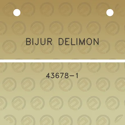 bijur-delimon-43678-1