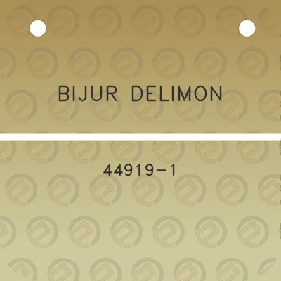 bijur-delimon-44919-1