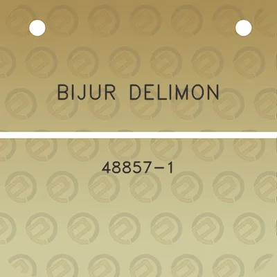 bijur-delimon-48857-1