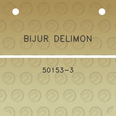 bijur-delimon-50153-3