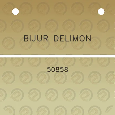 bijur-delimon-50858