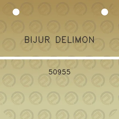 bijur-delimon-50955