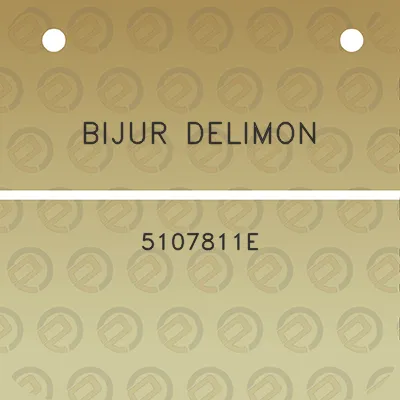 bijur-delimon-5107811e