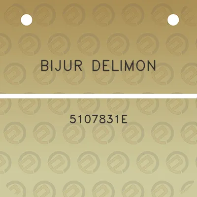 bijur-delimon-5107831e