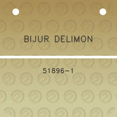 bijur-delimon-51896-1