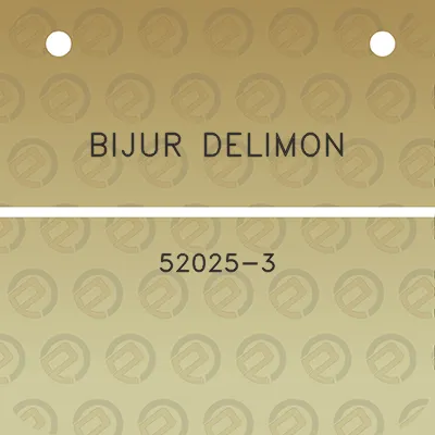 bijur-delimon-52025-3