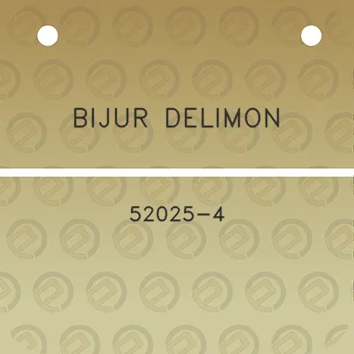 bijur-delimon-52025-4