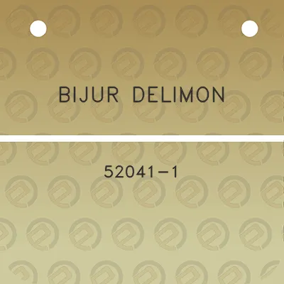 bijur-delimon-52041-1