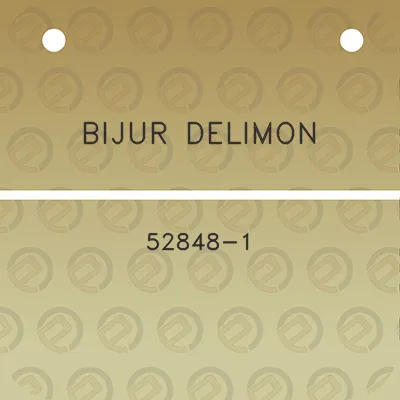 bijur-delimon-52848-1