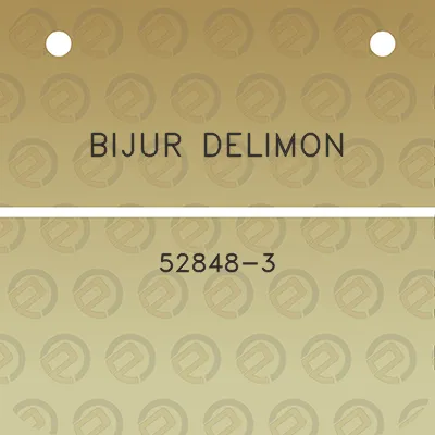 bijur-delimon-52848-3