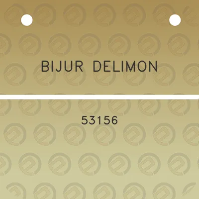 bijur-delimon-53156