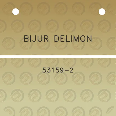 bijur-delimon-53159-2