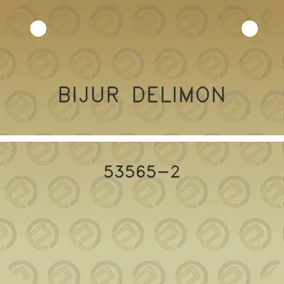 bijur-delimon-53565-2