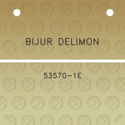 bijur-delimon-53570-1e