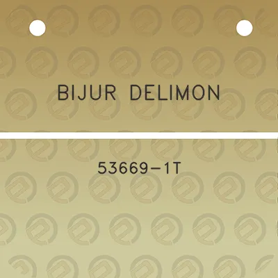 bijur-delimon-53669-1t