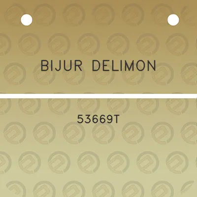 bijur-delimon-53669t