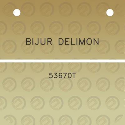 bijur-delimon-53670t