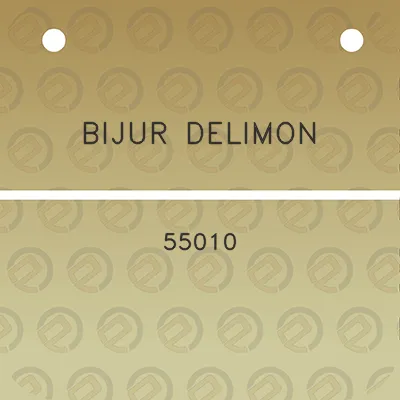 bijur-delimon-55010