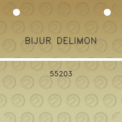 bijur-delimon-55203