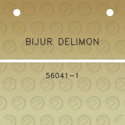 bijur-delimon-56041-1