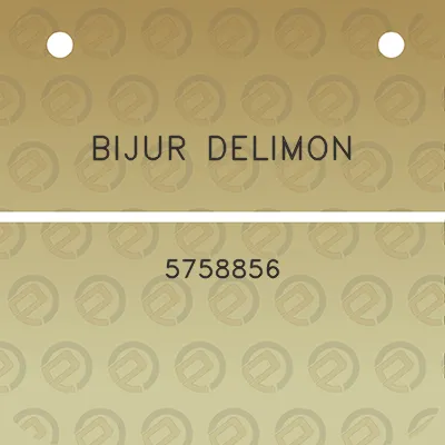 bijur-delimon-5758856