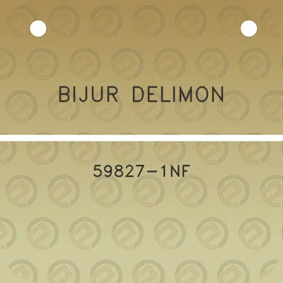 bijur-delimon-59827-1nf