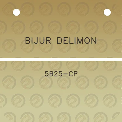 bijur-delimon-5b25-cp