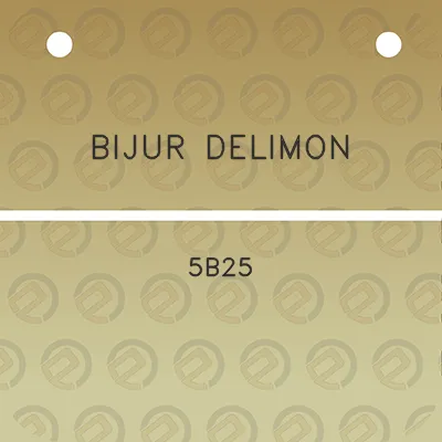 bijur-delimon-5b25