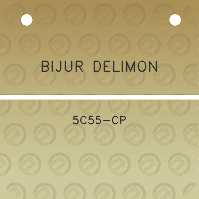 bijur-delimon-5c55-cp