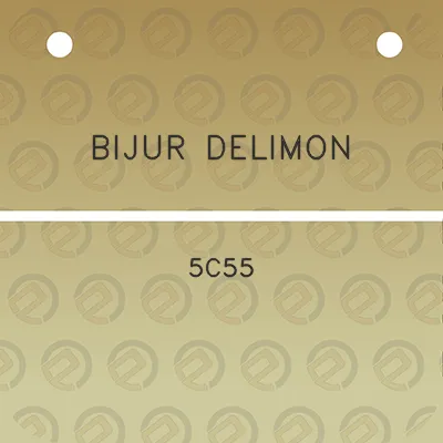 bijur-delimon-5c55