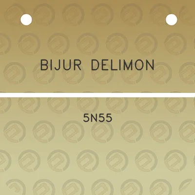 bijur-delimon-5n55