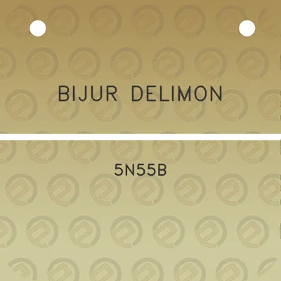 bijur-delimon-5n55b