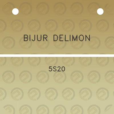 bijur-delimon-5s20