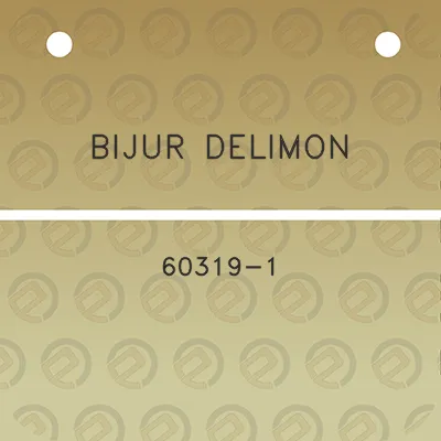 bijur-delimon-60319-1