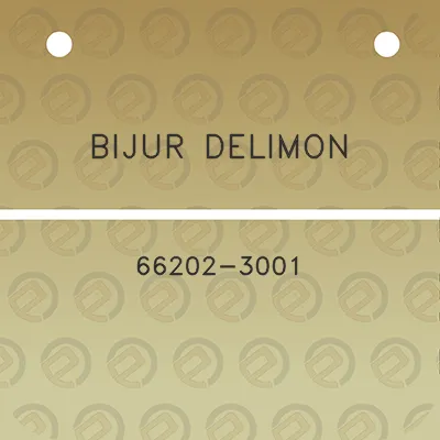 bijur-delimon-66202-3001