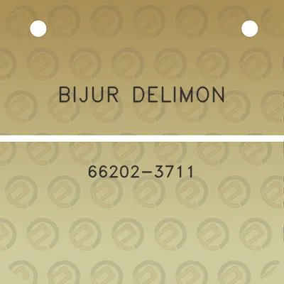 bijur-delimon-66202-3711