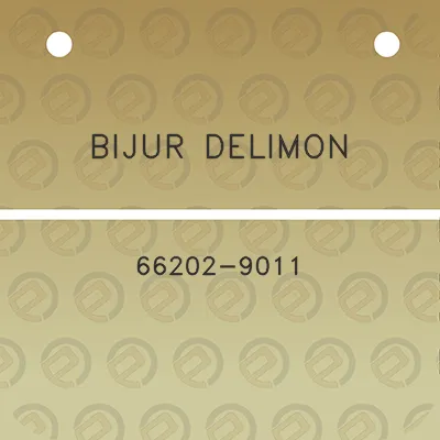 bijur-delimon-66202-9011