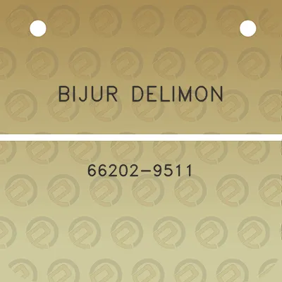 bijur-delimon-66202-9511