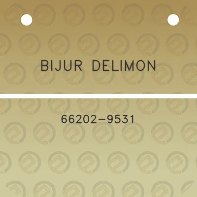 bijur-delimon-66202-9531