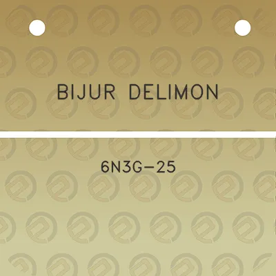 bijur-delimon-6n3g-25